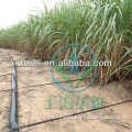 Drip Tape for Sugar Cane in Africa
